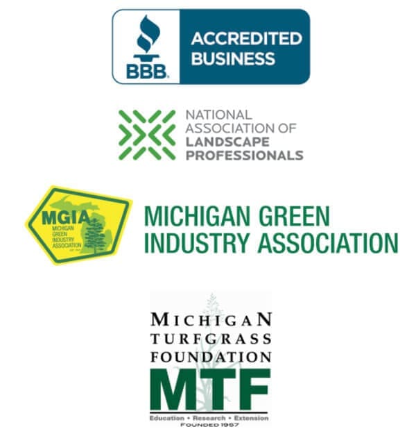 Our Credentials